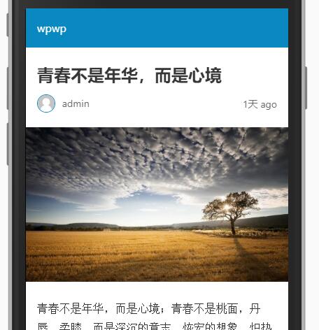 wp6.jpg